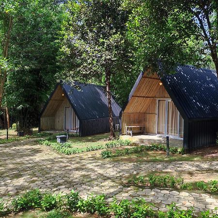 "D'Bamboo Kamp" Desa Wisata Ekang Lagoi Dış mekan fotoğraf